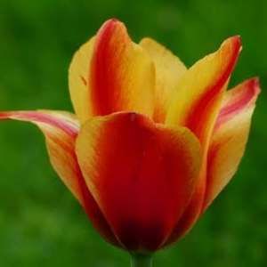 Meet your Posher, Jill